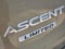 2024 Subaru Ascent Limited