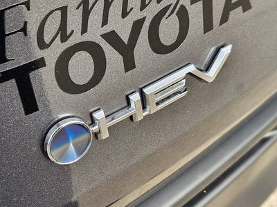 2025 Toyota Sienna XLE 8 Passenger