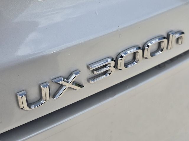 2025 Lexus UX 300h