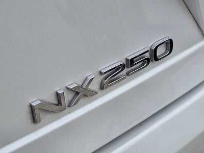 2024 Lexus NX 250 Premium