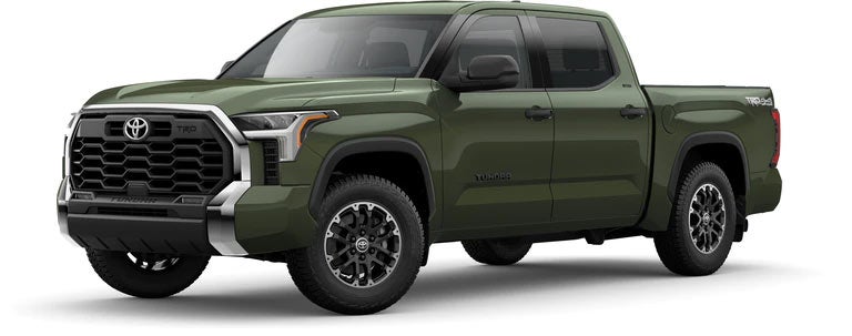 2022 Toyota Tundra SR5 in Army Green | Family Toyota of Burleson in Burleson TX