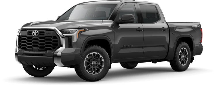 2022 Toyota Tundra SR5 in Magnetic Gray Metallic | Family Toyota of Burleson in Burleson TX